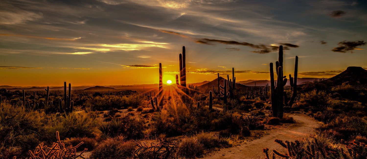 Image for Cost of Living in Arizona: Average Rent, Groceries, Utilities, and More