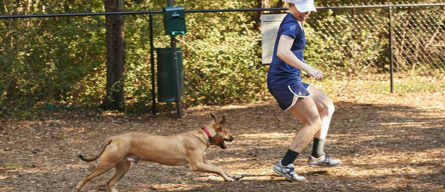 Image for Awesome Pet-Friendly Apartments in Austin