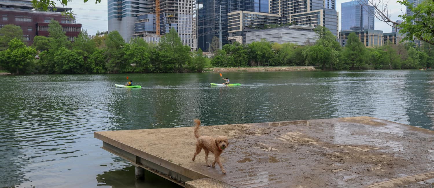Image for Gettin’ Your Wag on in Austin Dog Parks