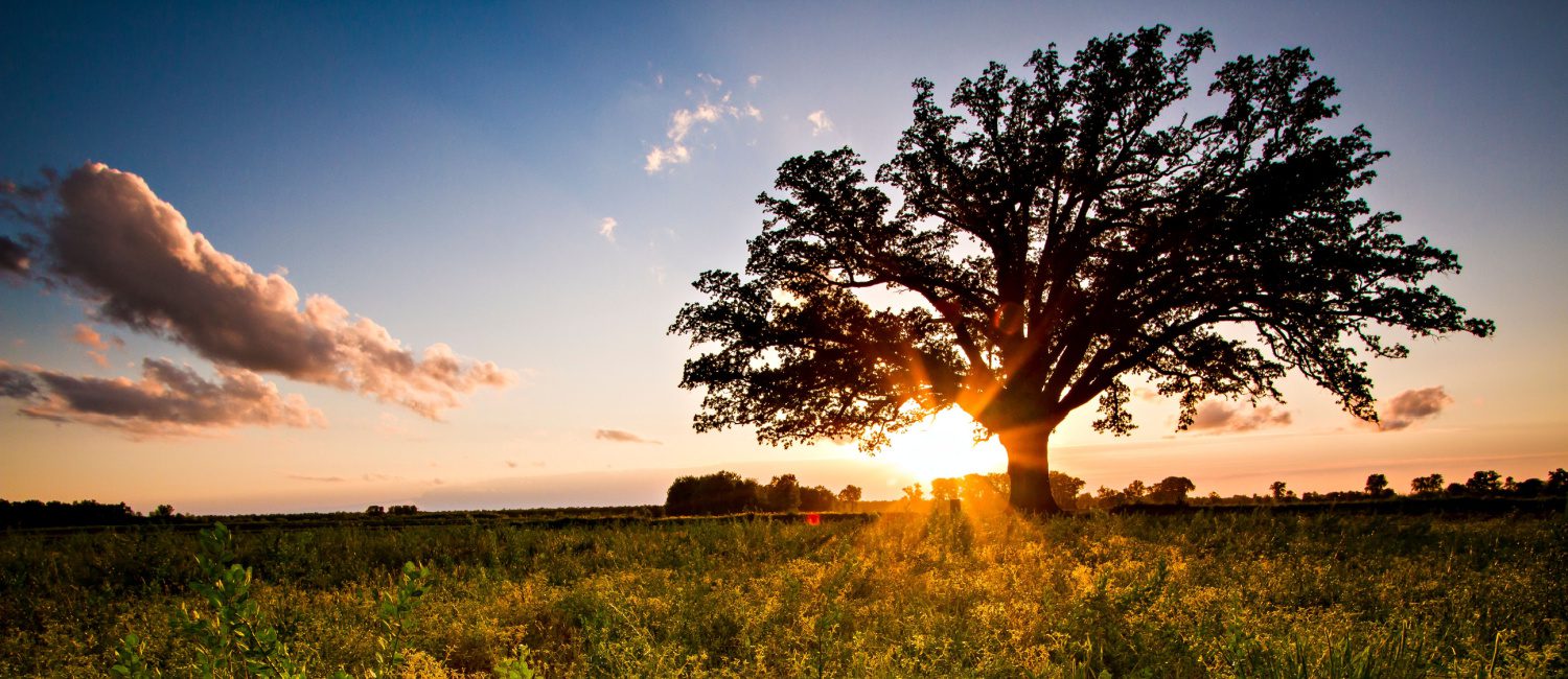 Image for The Best Places to Live in Missouri