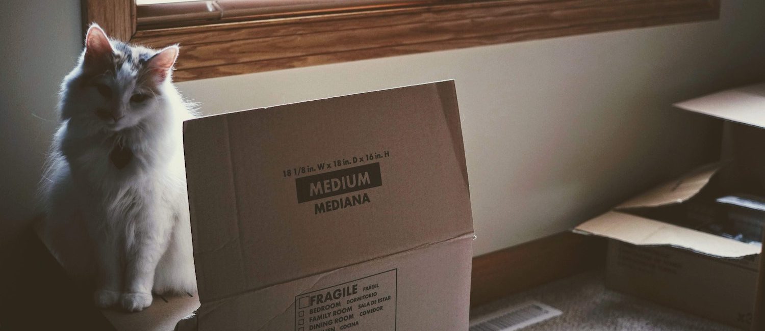 Image for Moving with Pets: Helpful Tips For a Successful Relocation