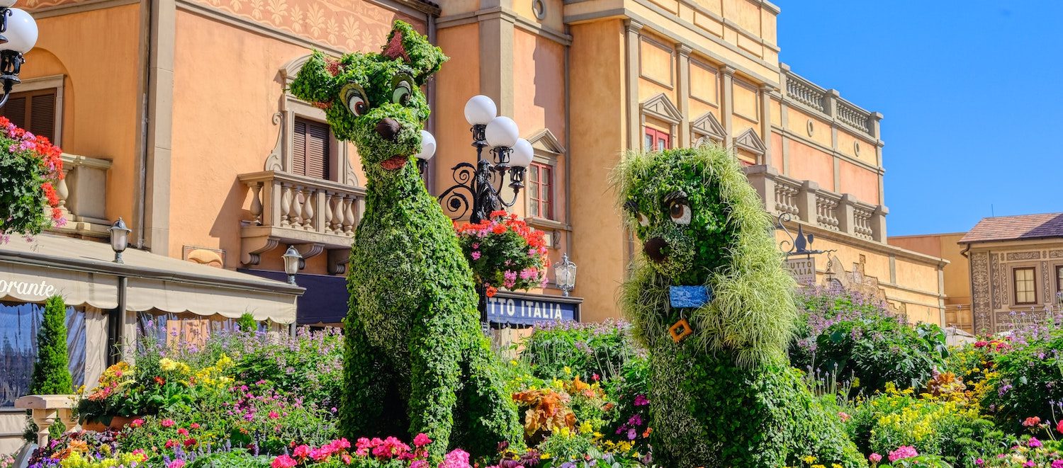 Image for The Best Dog-Friendly Apartments in Orlando