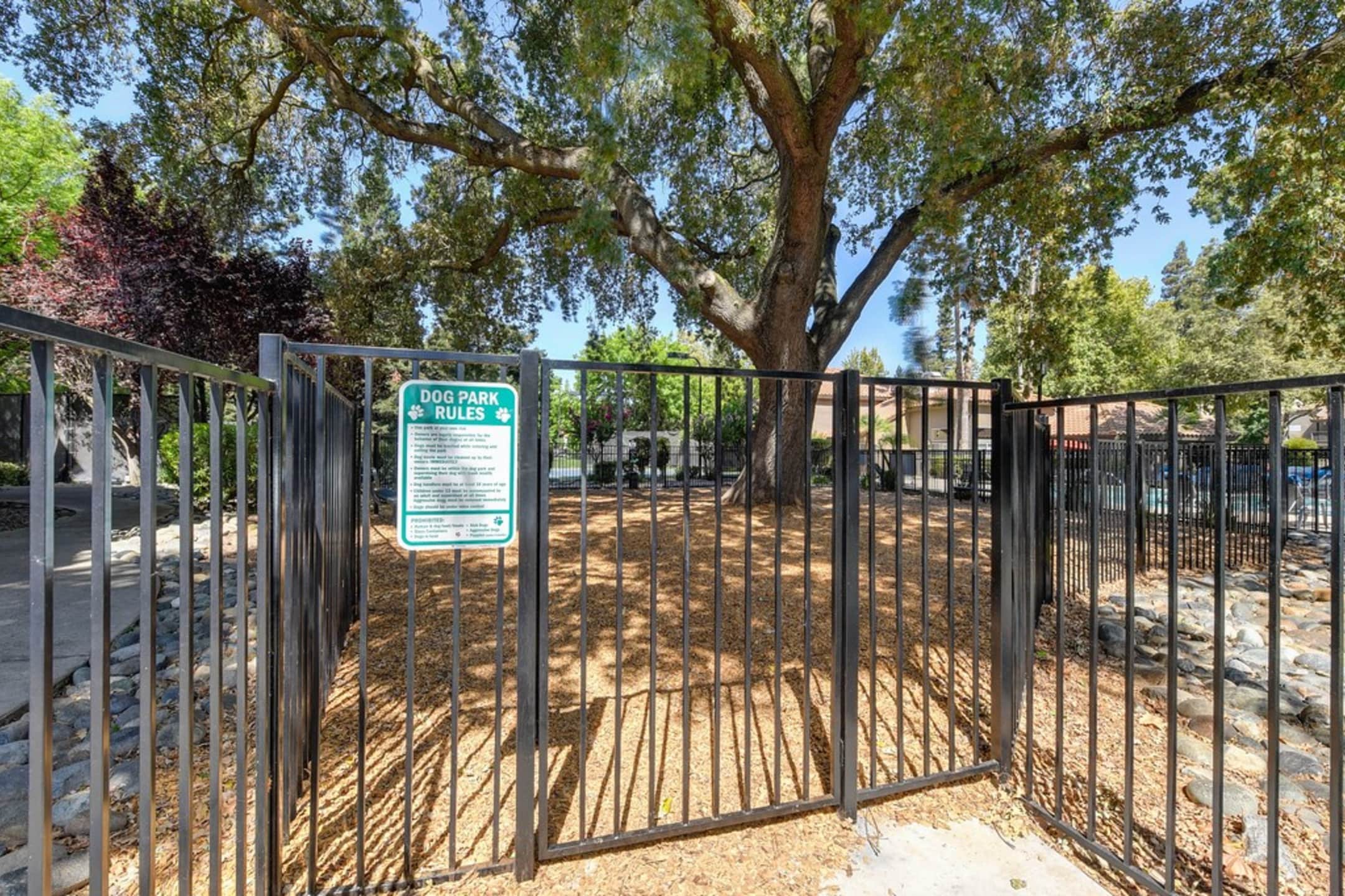 Image for 10 Awesome Pet-Friendly Apartments in Sacramento