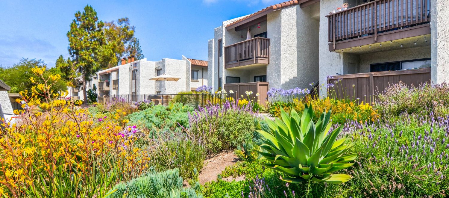 Image for 10 Gorgeous Apartment Courtyards and Gardens in San Diego
