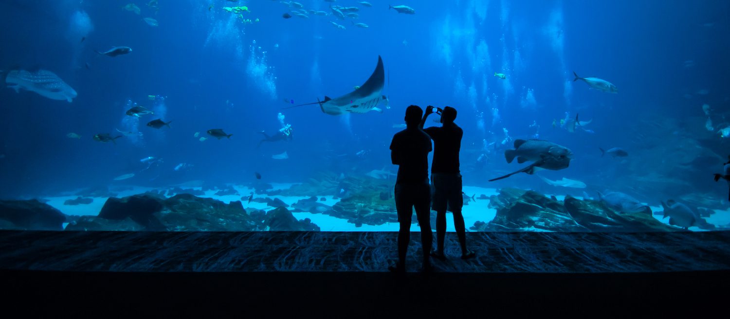 Image for Where to Live in Atlanta for $2,000