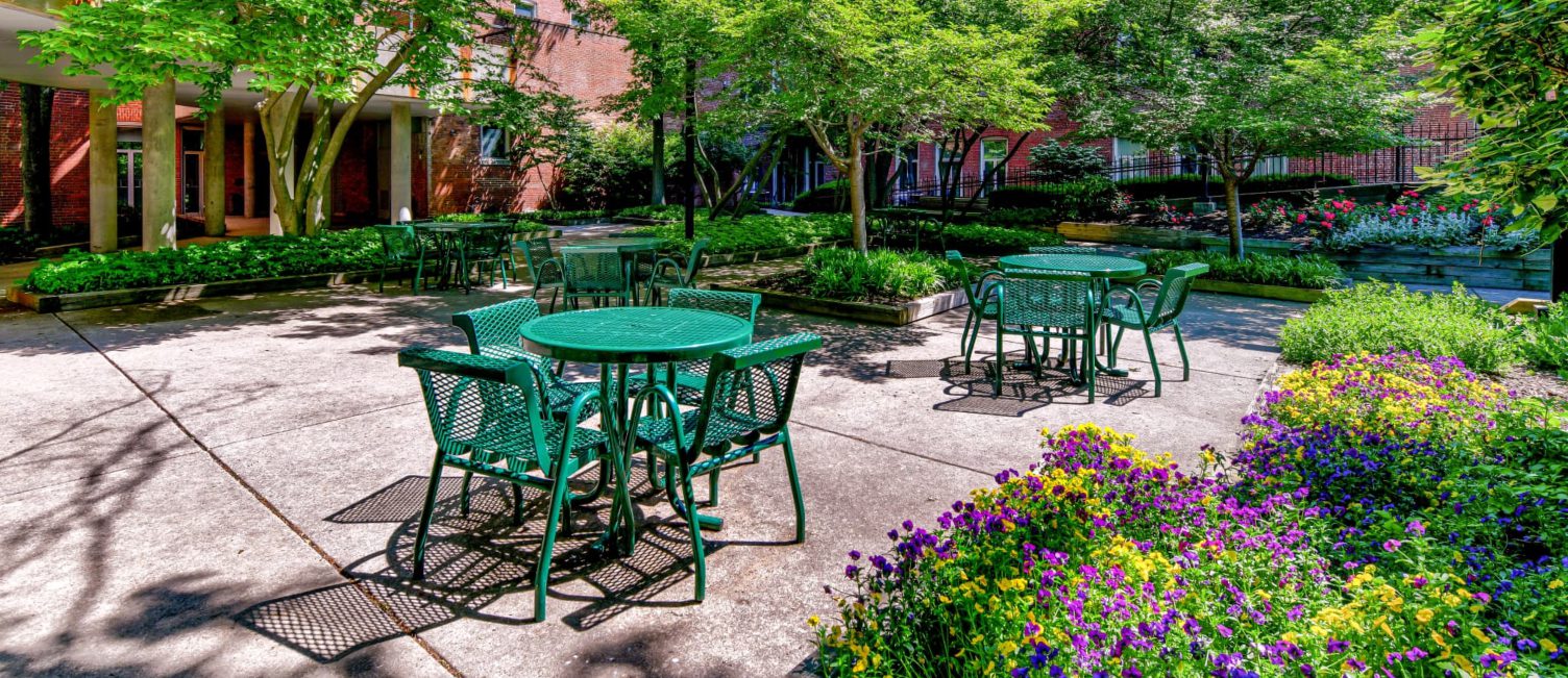 Image for 10 Baltimore Apartments That Are Better Than Spas