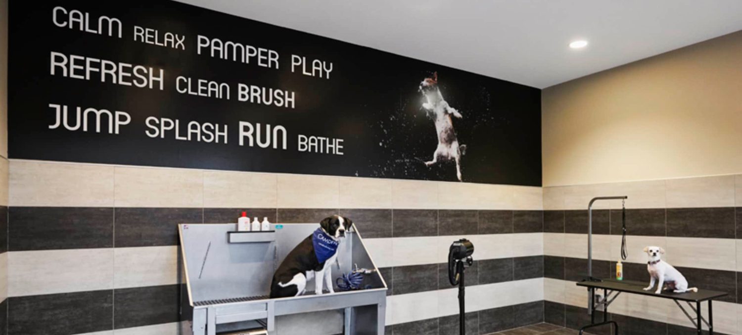 Image for 10 Awesome Pet-friendly Apartments in Houston