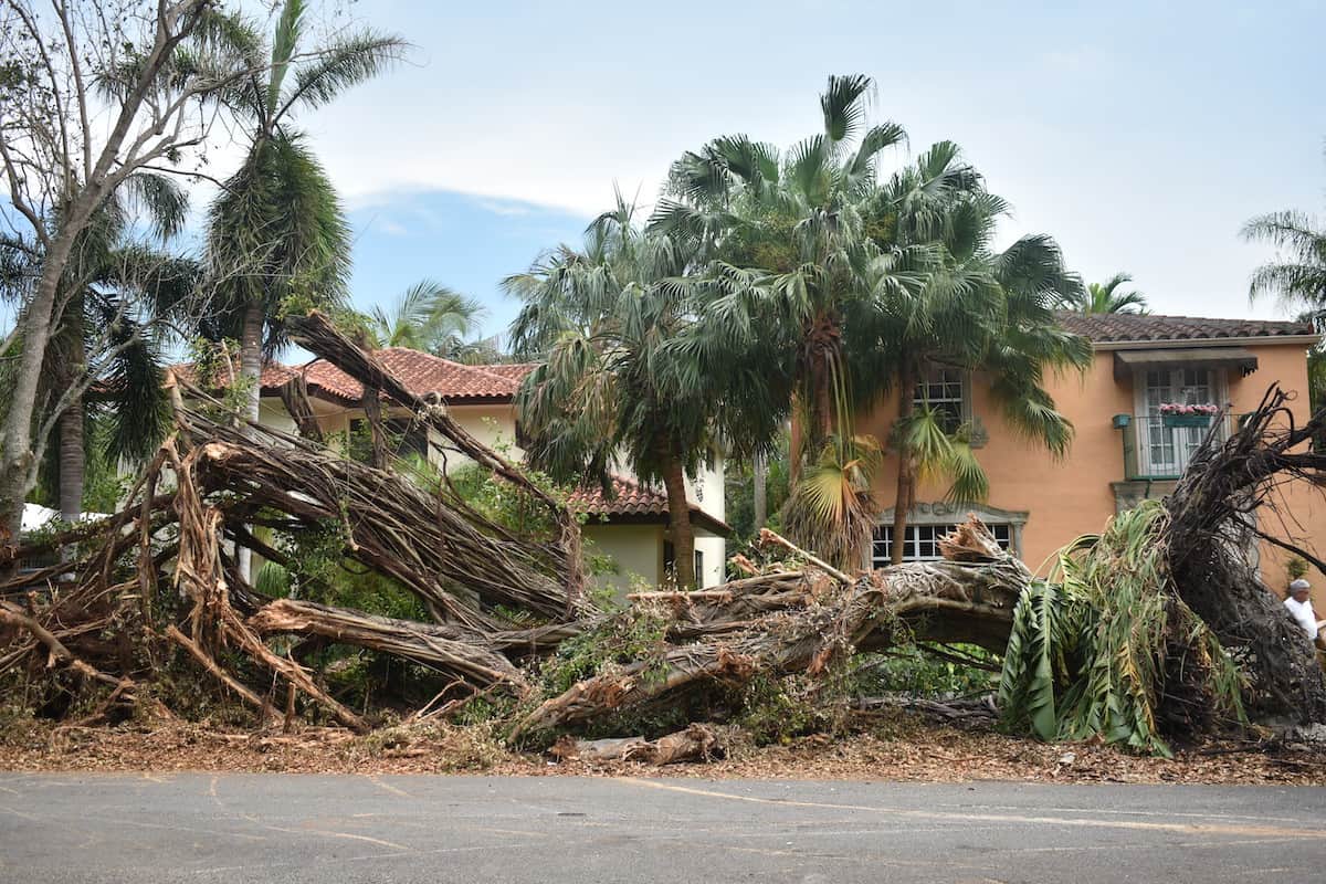 hurricane storm damage in an apartment