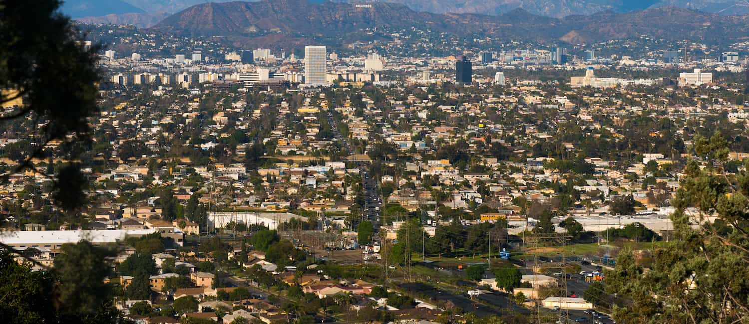 Image for Your Complete Palms, Los Angeles Neighborhood Guide