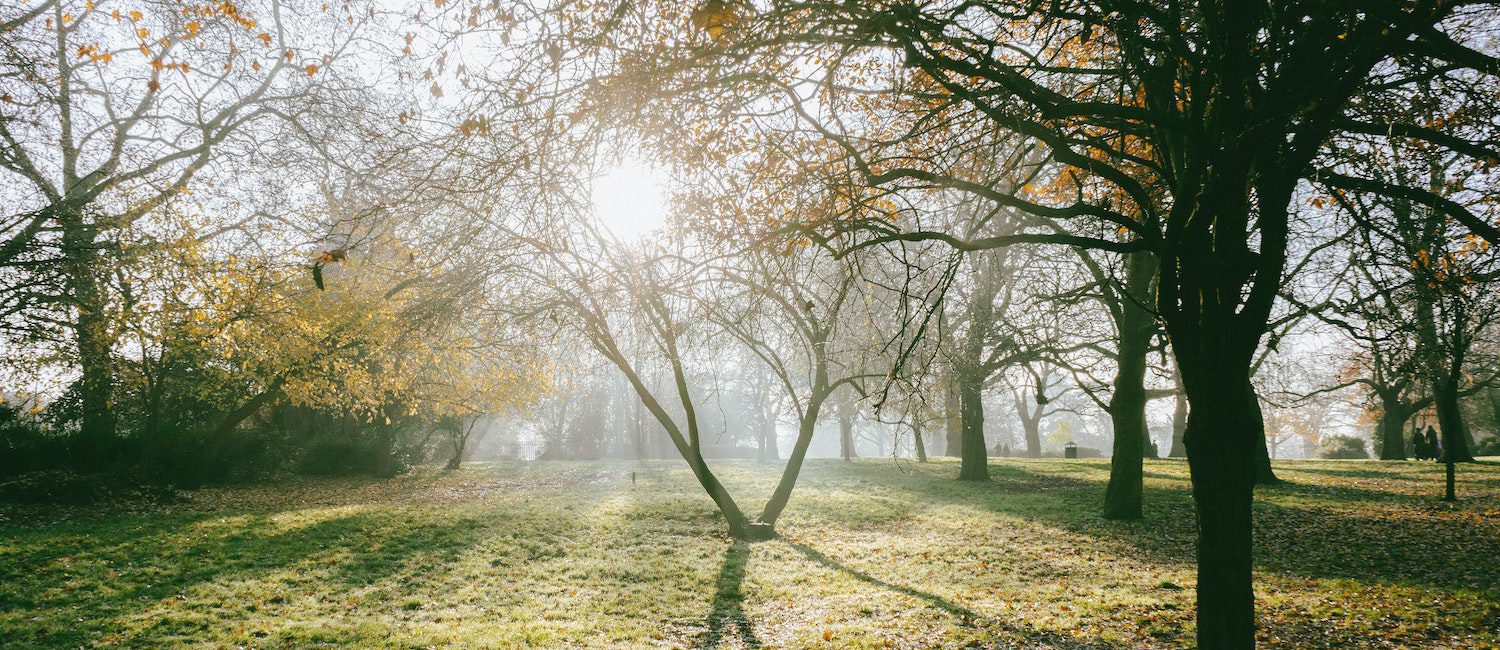 Image for The Best Apartments in Atlanta Near Parks