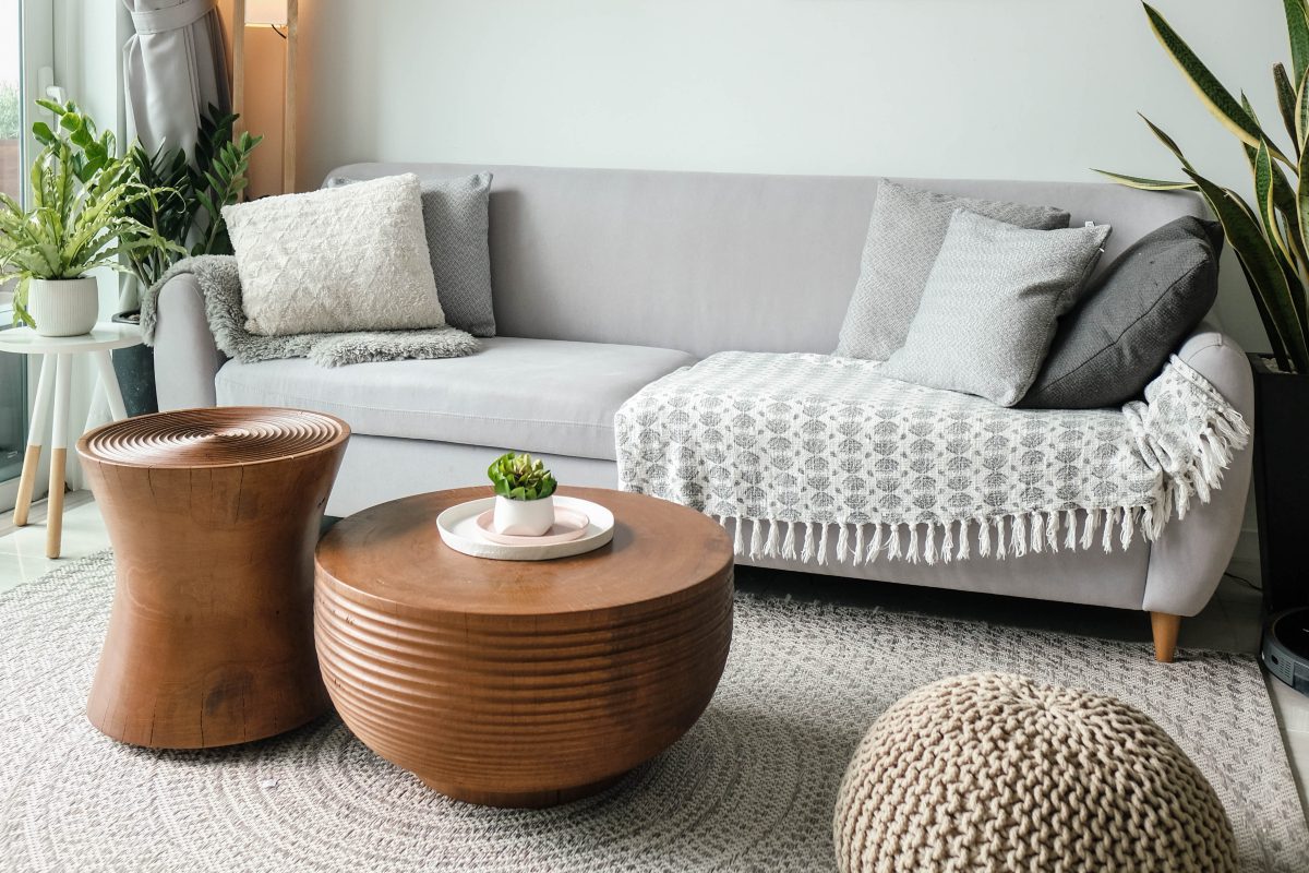 indoor plants bring life to minimalist living rooms
