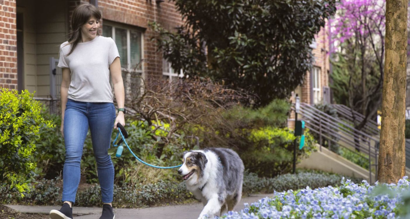 Image for Awesome Pet-friendly Apartments in Atlanta