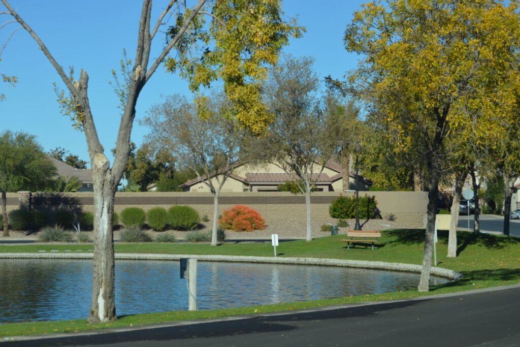 Beautiful pond on a sunny day in Maricopa, Arizona