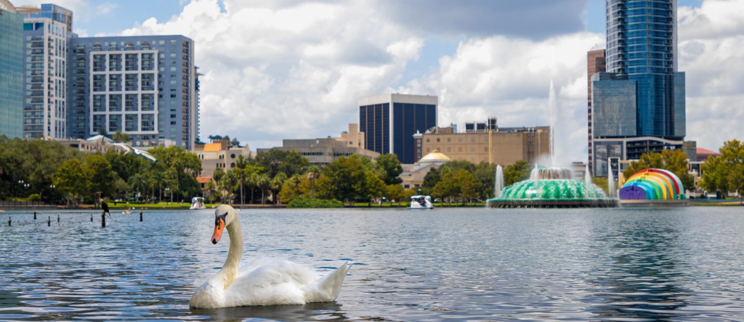 Image for 9 Pros and Cons of Living in Orlando, FL