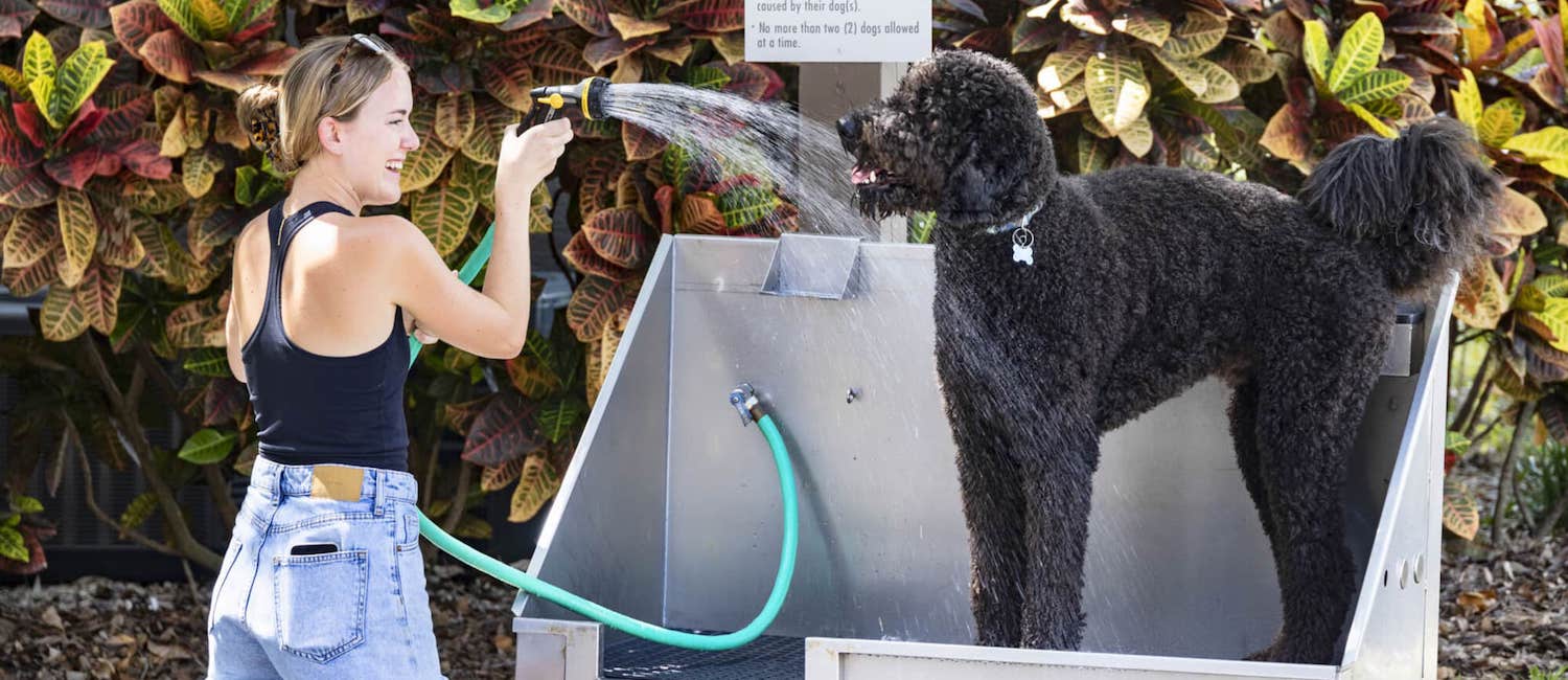 Image for Awesome Pet-Friendly Apartments in Tampa