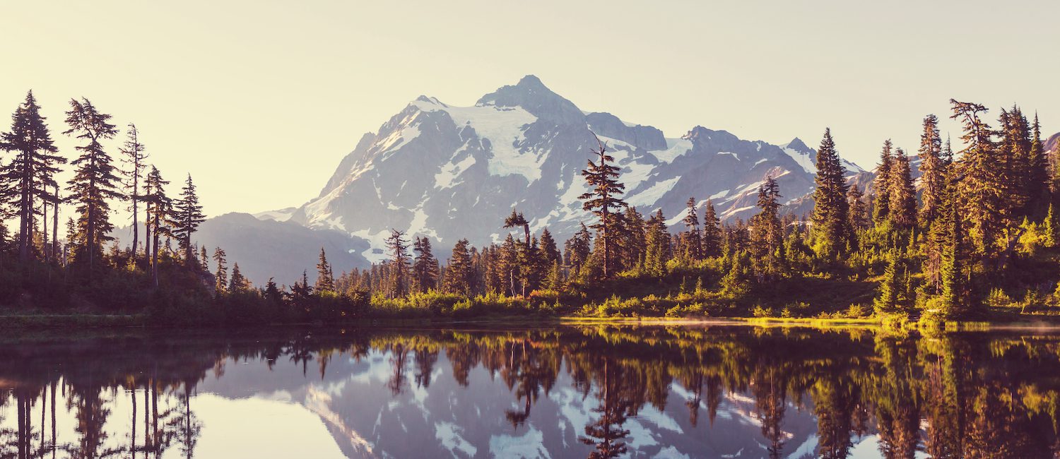 Image for Cost of Living in Washington: Average Rent, Groceries, Utilities, and More