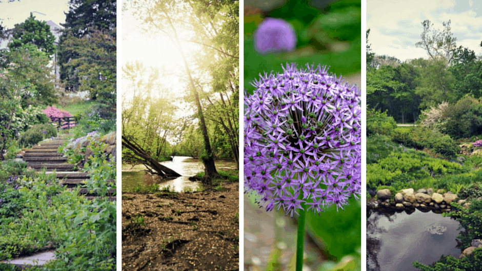 Image for Indy Parks You Can’t Miss