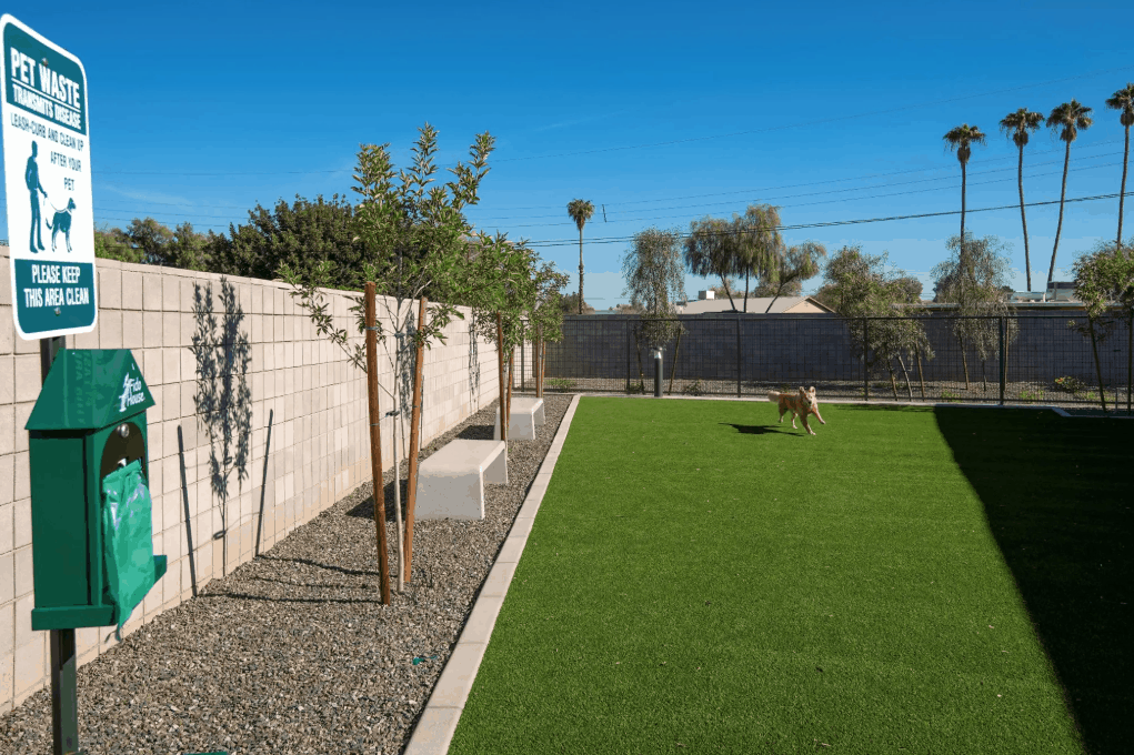apartment dog park