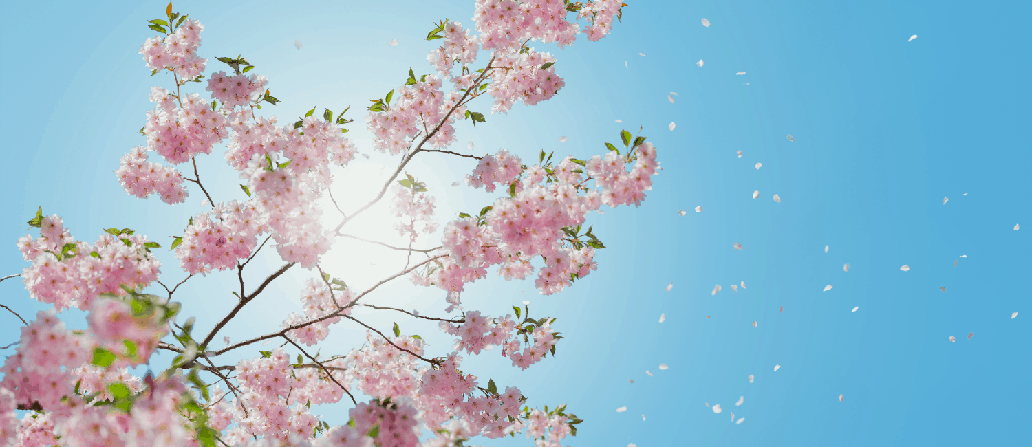 Image for The Worst Cities To Live With Allergies in 2022